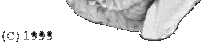 (C) 1999